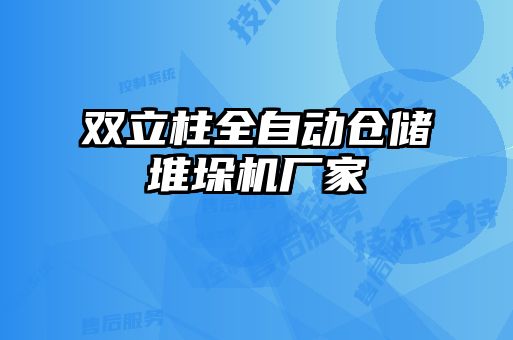 雙立柱全自動倉儲堆垛機廠家